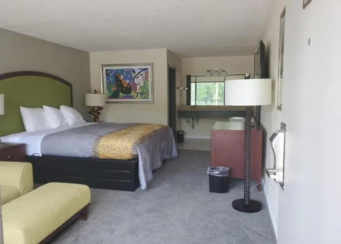 Palmetto Inn And Suites